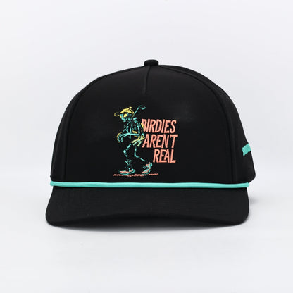 UFO Joe Birdies Arent Real Hat