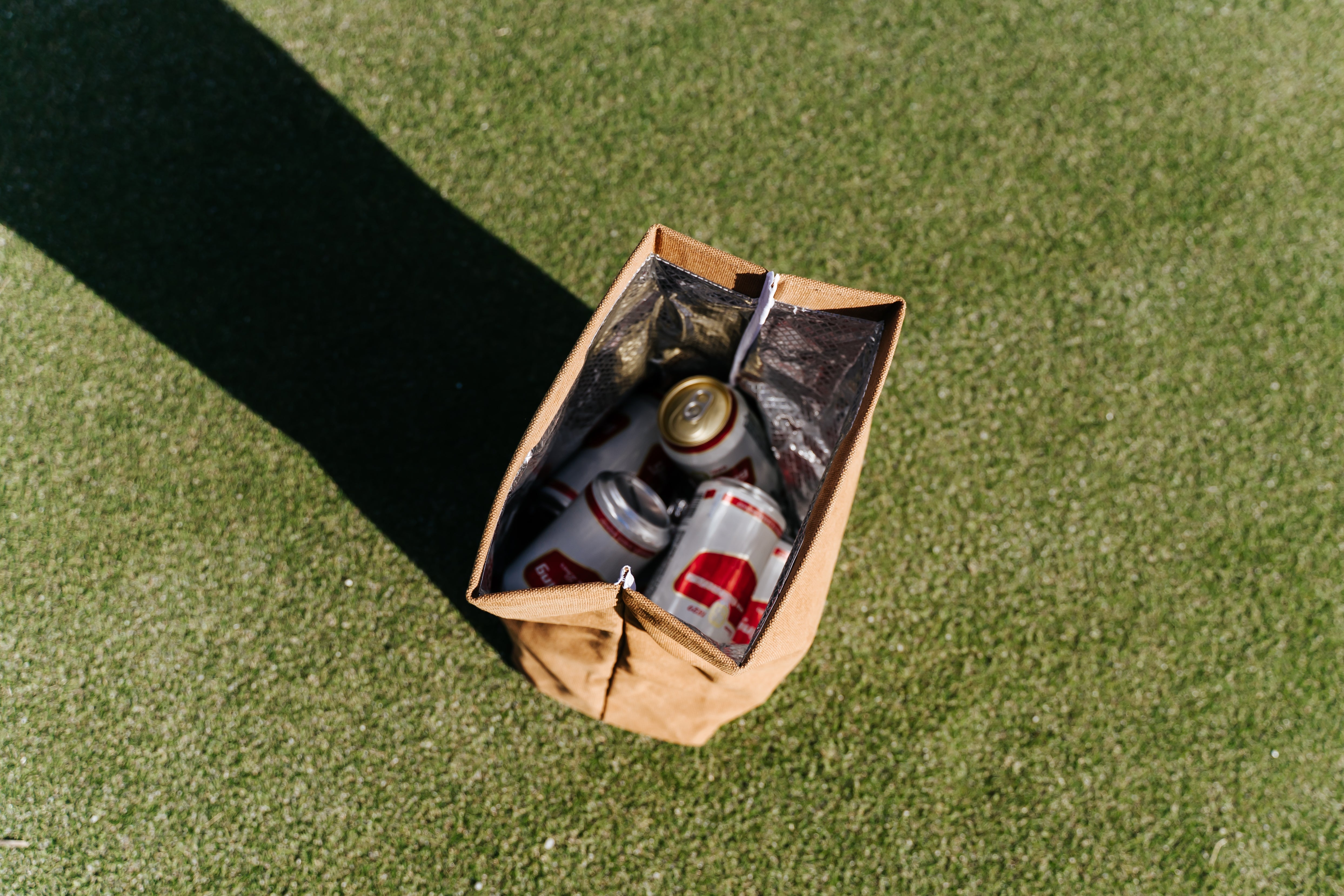 Brown Paper Bag Secret Cooler